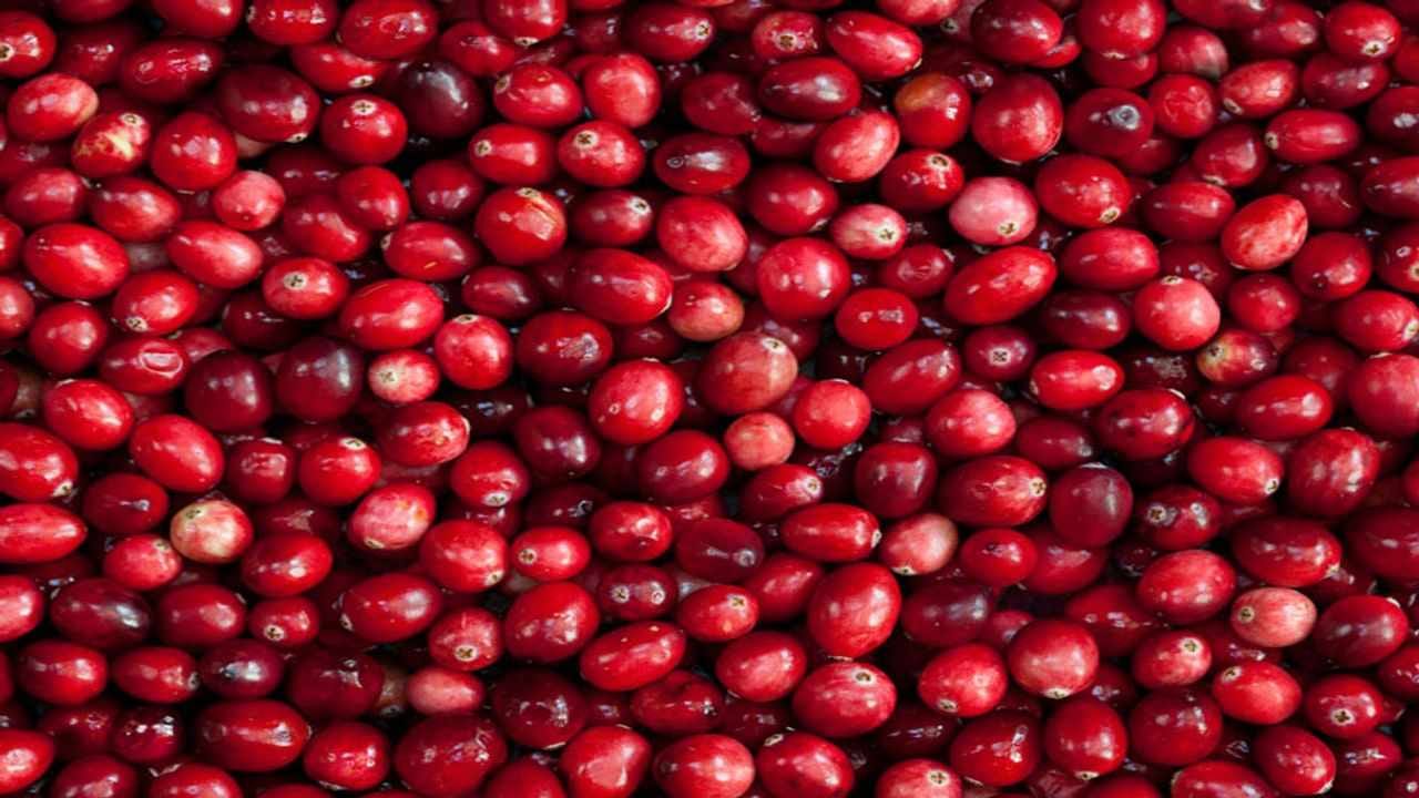 Women Health : યુરીનરી ઇન્ફેક્શનની સમસ્યા દૂર કરવા આ એક નાનું ફળ લાગશે કામ