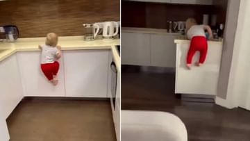 Viral Video: નાના બાળકે બતાવી અદભૂત સ્ફુર્તી, વીડિયો જોઈને લોકોએ કહ્યું- 'તે ભવિષ્યમાં માઉન્ટ એવરેસ્ટ પર ચઢશે'