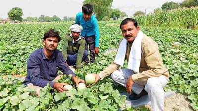 Success Story: આ ખેડૂતે મલ્ચિંગ બેડનો ઉપયોગ કરીને તરબૂચની કરી ખેતી, એક એકરમાં 4 લાખનો કર્યો નફો