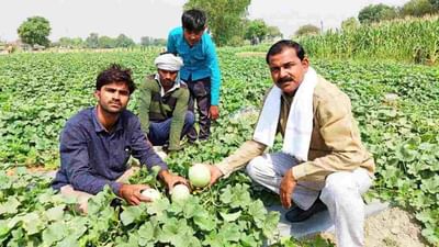 Success Story: આ ખેડૂતે મલ્ચિંગ બેડનો ઉપયોગ કરીને તરબૂચની કરી ખેતી, એક એકરમાં 4 લાખનો કર્યો નફો