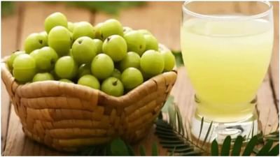 Amla Juice Benefits: રોજ સવારે ખાલી પેટ આમળાનો જ્યુસ પીવો, તમને મળશે આ અદ્ભુત ફાયદા