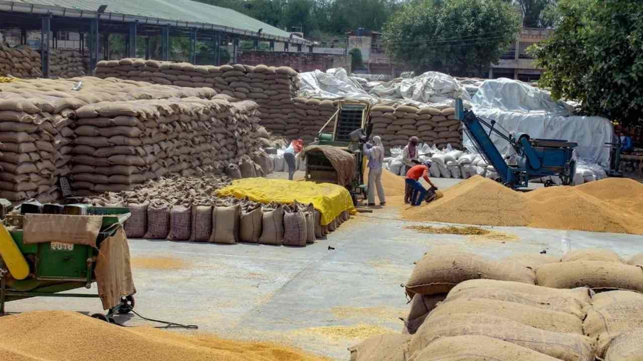 MSP પર 5 રાજ્યોમાંથી 180 લાખ મેટ્રિક ટન ઘઉંની થઈ ખરીદી, 17 લાખ ખેડૂતોને મળ્યા 36,412 કરોડ રૂપિયા