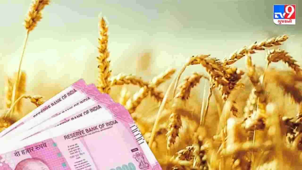Wheat Export: ભારત કયા દેશોમાં ઘઉંની કરશે નિકાસ, કેન્દ્ર સરકારે દુનિયાની સામે સ્થિતિ કરી સ્પષ્ટ