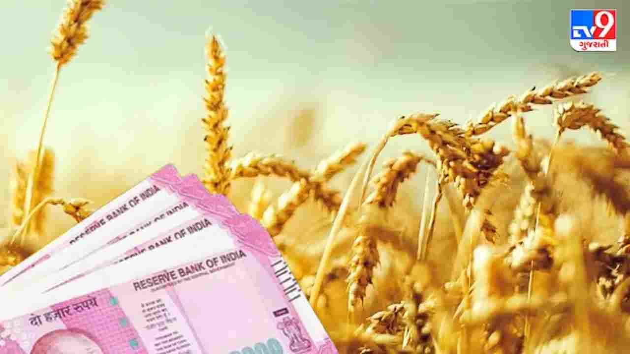 Wheat Export: ભારત કયા દેશોમાં ઘઉંની કરશે નિકાસ, કેન્દ્ર સરકારે દુનિયાની સામે સ્થિતિ કરી સ્પષ્ટ