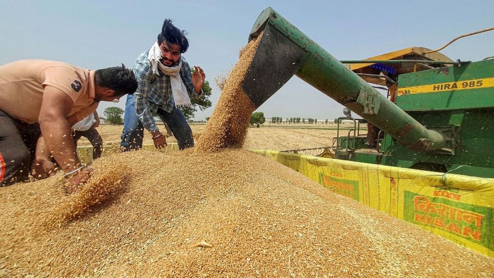સરકાર ઘઉંની નિકાસ પર પ્રતિબંધ મૂકીને ખેડૂતોની આવકનું રક્ષણ કરી રહી છે, તેમને વધુ લાભ આપવાનો પ્રયાસ કરી રહી છે: APEDA અધ્યક્ષ