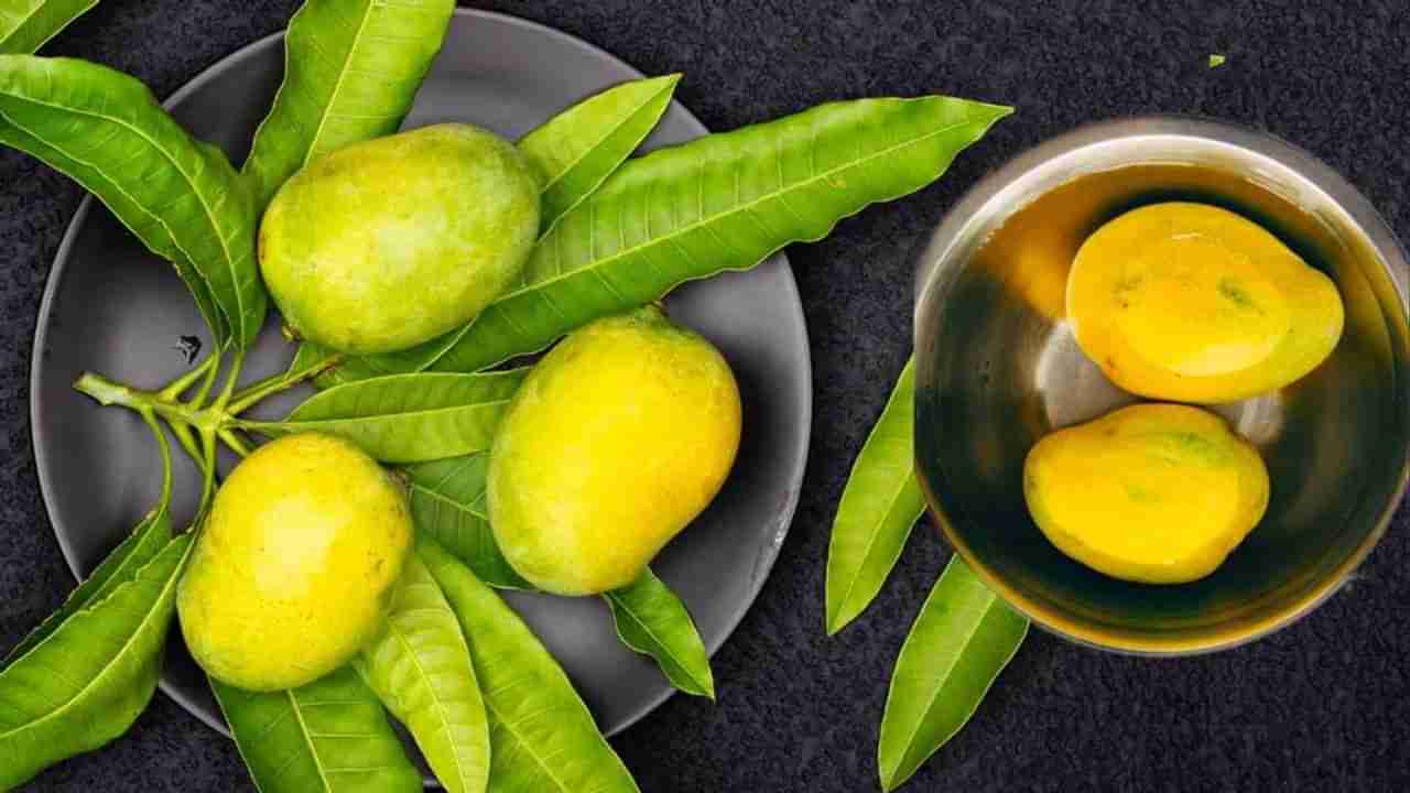 Mango Side Effects: વધુ પ્રમાણમાં  કેરી ખાવાથી પેટથી લઈને ત્વચા સુધી આ સમસ્યાઓ થઈ શકે છે, જાણો તેની આડઅસરો