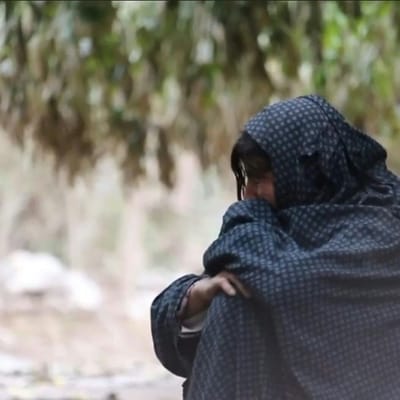 અફઘાનિસ્તાનમાં સત્તા કબજે કર્યા પછી, તાલિબાને તેમની ક્રૂરતા માટે મહિલાઓને સૌથી પહેલા નિશાન બનાવી હતી. તેણે મહિલાઓ પર તમામ પ્રકારના પ્રતિબંધો લાદવાનું શરૂ કર્યું. સ્થિતિ એવી છે કે આજે આ દેશમાં મહિલાઓ પાંજરામાં બંધ પંખીની જેમ જીવવા માટે મજબૂર છે.