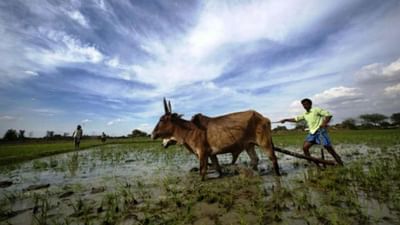 આનંદો : જગતના તાત માટે સારા સમાચાર, આ વર્ષ ચોમાસુ વહેલુ શરૂ થવાના એંધાણ આનંદો : જગતના તાત માટે સારા સમાચાર, આ વર્ષ ચોમાસુ વહેલુ શરૂ થવાના એંધાણ