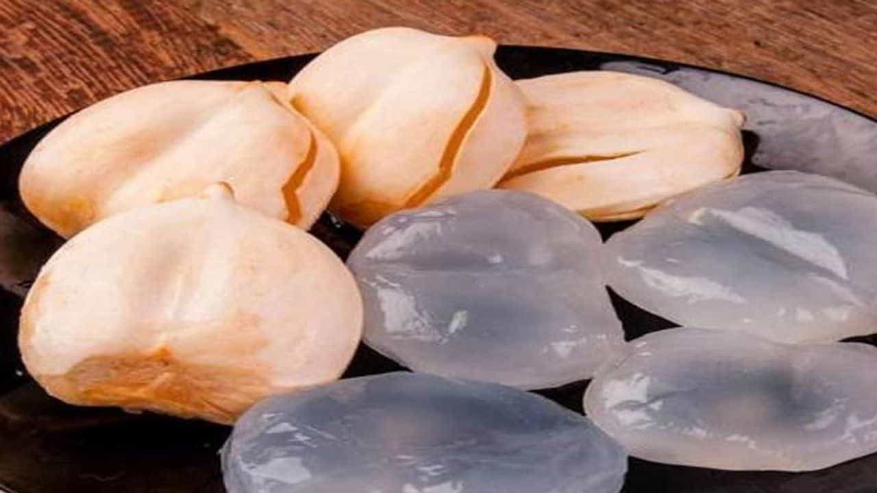 Ice Apple : ઉનાળાનું આ સુપર ફૂડ તમારા શરીરમાં પૂરી કરે છે પાણીની કમી, કુદરતી રીતે આપે છે ઠંડક