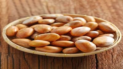 જેકફ્રુટનાં બીજના ફાયદા : ફણસના બીજના સેવનથી થઈ શકે છે આટલા ફાયદા, જાણો ઉનાળામાં કેવી રીતે કરી શકશો સેવન