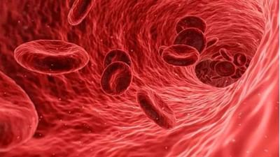 World Menstrual Hygiene Day 2022 : માસિક સ્વચ્છતા દિવસની વાસ્તવિકતા, 500 મિલિયન મહિલાઓ માસિક અસ્વચ્છતાને કારણે  એનિમિયાની ઝપેટમાં