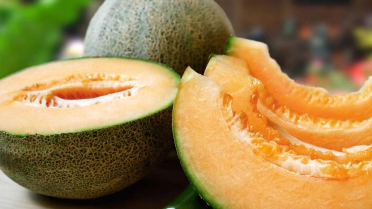Beauty Tips : સ્કિનથી લઈને ફાટેલી એડીઓ સુધી, શક્કરટેટીનો આ રીતે કરી શકો છો ઉપયોગ