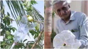 Jugaad: ઊંચા વૃક્ષો પરથી ફળો તોડવા માટે એક વ્યક્તિએ બનાવી આ વસ્તુ, વીડિયો જોઈને સારા એન્જિનિયરો પણ રહી જશે દંગ