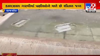 Rajkot : પક્ષી પ્રેમીઓની અનોખી સેવા, પાણીના કુંડાઓમાં રોજ ઠાલવે છે 100 કિલોથી વધારે બરફ