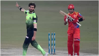 22 વર્ષીય શાહીન આફ્રિદીએ સંન્યાસ વિશે કહ્યું, સાથી ખેલાડી છે કારણ, જાણો શું થયું