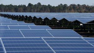 દેશની સૌર ઉર્જા ક્ષમતામાં તીવ્ર વધારો, ગયા વર્ષની સરખામણીમાં માર્ચ ક્વાર્ટરમાં 50 ટકા વૃદ્ધિ: રિપોર્ટ