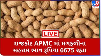 Mandi : રાજકોટ APMCમાં મગફળીના મહત્તમ ભાવ રૂપિયા 6675 રહ્યા, જાણો જુદા-જુદા પાકના ભાવ Mandi : રાજકોટ APMCમાં મગફળીના મહત્તમ ભાવ રૂપિયા 6675 રહ્યા, જાણો જુદા-જુદા પાકના ભાવ