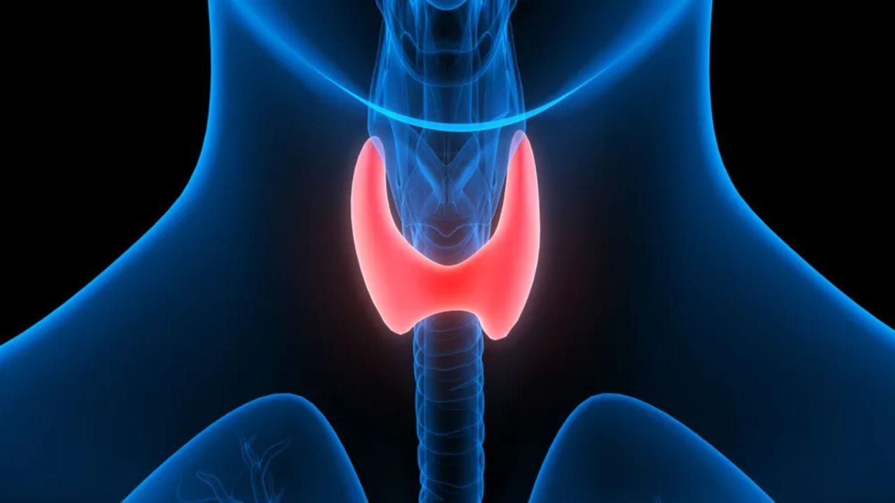 Thyroid : થાઈરોઈડને કંટ્રોલ કરે છે આ 5 વસ્તુઓ, ડાયટમાં જરુર સામેલ કરો