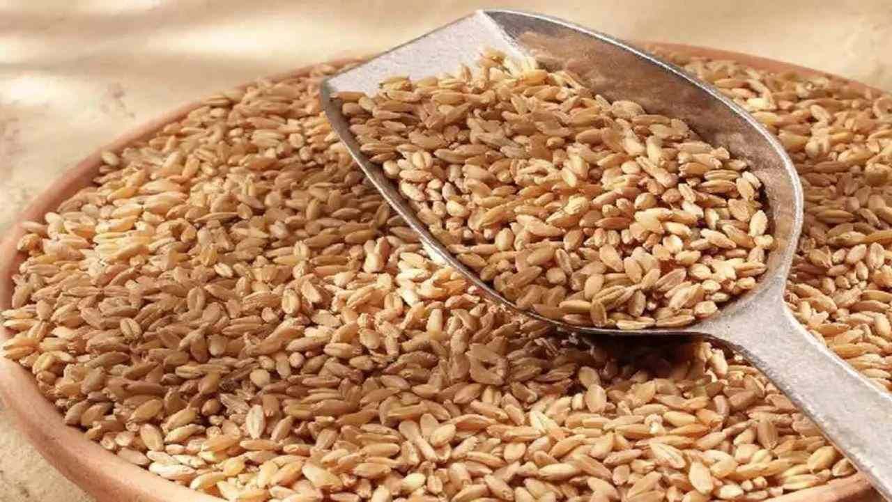 Wheat Price: નિકાસ પર પ્રતિબંધ હોવા છતાં ઘઉંની કિંમત 2905 રૂપિયા પ્રતિ ક્વિન્ટલ પર પહોંચી, જાણો ભાવમાં ક્યારે ઘટાડો થશે