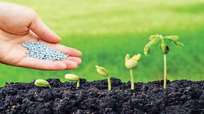 ખેડૂતોને પૂરતા પ્રમાણમાં ખાતરનો જથ્થો ઉપલબ્ધ કરાવવા સરકાર કટીબદ્ધ : કૃષિ મંત્રી