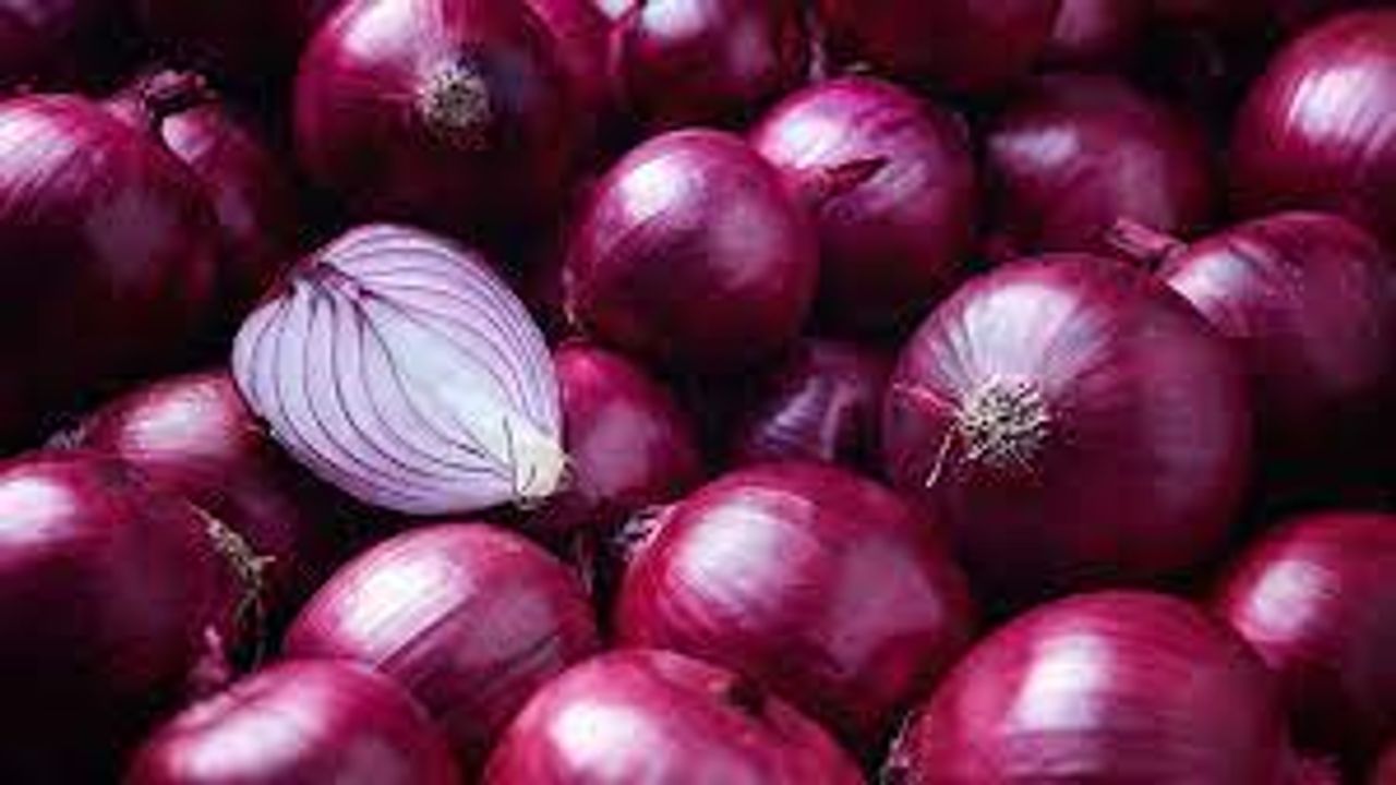 Onion Price: ડુંગળીનો ભાવ પ્રતિ કિલો 50 પૈસા, ડુંગળી ફેંકવી પડે તેવી ખેડૂતોની સ્થિતિ