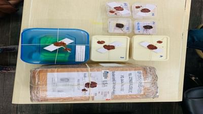 ગુજરાતમાં ફરી ડ્રગ્સની હેરાફેરીનો પર્દાફાશ, રાજસ્થાનથી નવસારી થઈ USA પહોંચાડવાનો હતો ડ્રગ્સનો જથ્થો