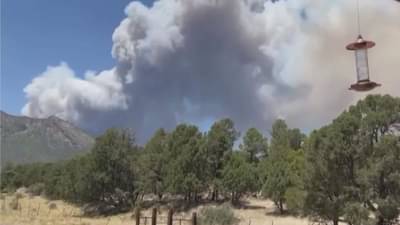 America: ફ્લૈગસ્ટાફના જંગલમાં ભીષણ આગ લાગી, સ્થાનિક લોકોનું સ્થળાંતર, બચાવ કાર્ય ચાલુ