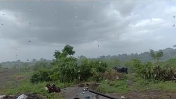 Amreli: જિલ્લામાં વરસાદી માહોલ યથાવત, સાવરકુંડલાના ગ્રામ્ય વિસ્તારોમાં ધોધમાર વરસાદ