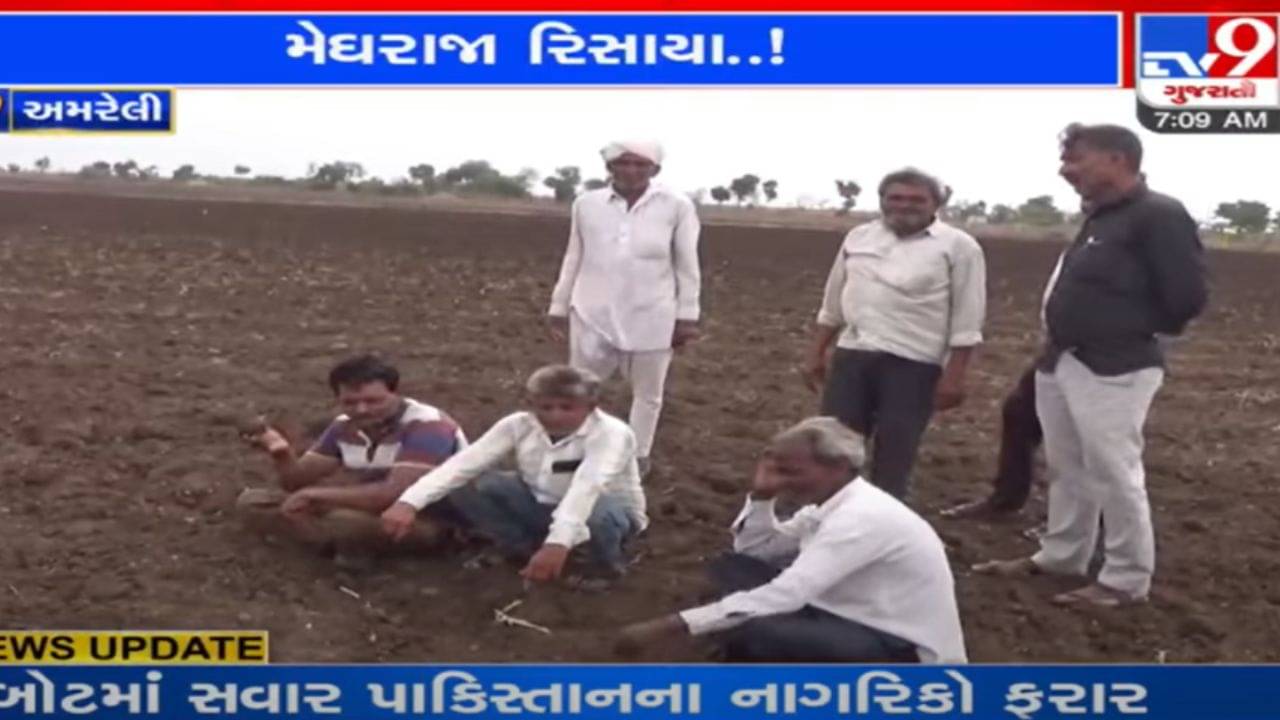 Amreli: જિલ્લામાં વાવણી સમયે વરસાદ પાછો ખેંચાતા ધરતીપુત્રો મુકાયા મુસીબતમાં, મોંઘા ભાવનું બિયારણ વેડફાવાનો ભય