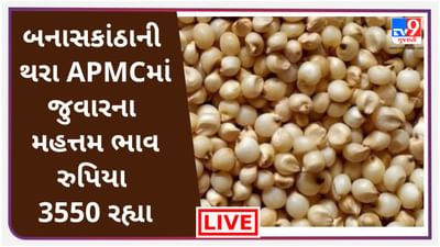 Mandi: બનાસકાંઠાની થરા APMCમાં જુવારના મહત્તમ ભાવ રુપિયા 3550 રહ્યા.,જાણો જુદા-જુદા પાકના ભાવ