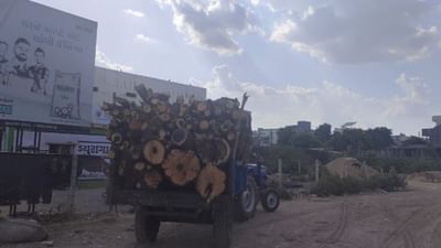 Mehsana: વિસનગરમાં વિરપ્પનો બન્યા બેફામ ! ગેરકાયદે વૃક્ષોની કાપણી કરીને કરી રહ્યા છે કાળો કારોબાર