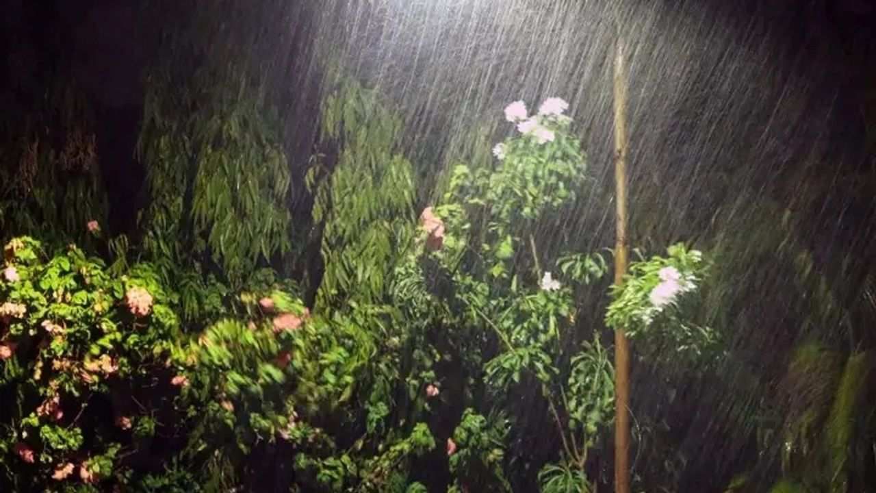 Ahmedabad : ભારે પવન સાથે વરસાદની શરૂઆત, અનેક વિસ્તારોમાં પાણી ભરાયા, વૃક્ષો ઘરાશાયી