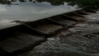 અગિયારસ અને વરસાદના શુકનને માથે ચઢાવીને ખેડુતોએ વાવણીની શરૂઆત કરી, અમરેલીના વડિયામાં 34 મિમી વરસાદ, ચેકડેમ છલકાયો