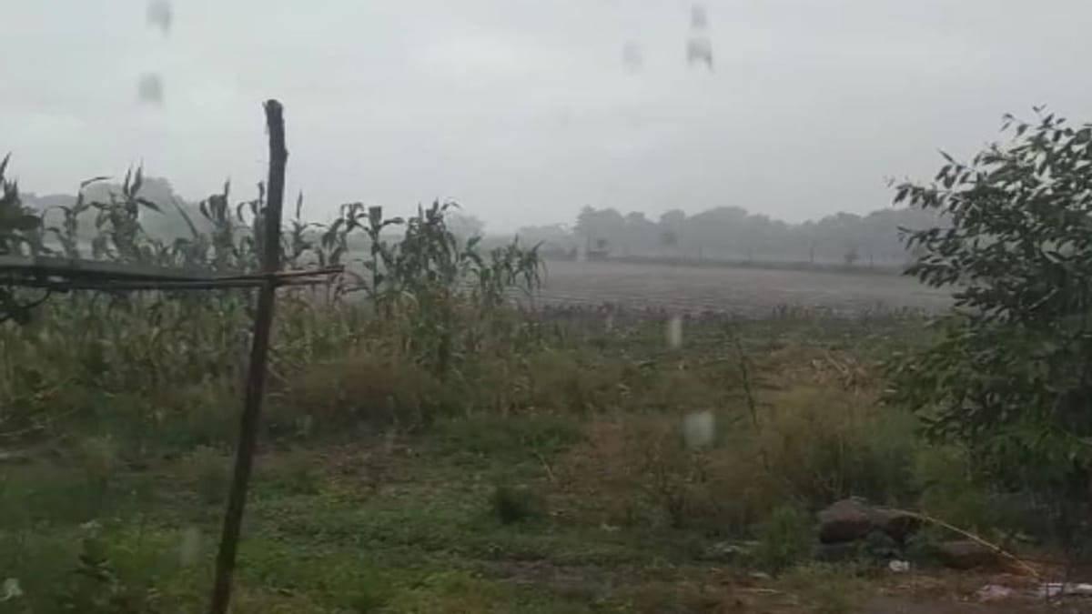 Gujarat Monsoon: ગીર સોમનાથ અને અમરેલીમાં વરસાદથી આહ્લાદક વાતાવરણ બની ગયું