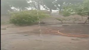 પ્રી મોન્સૂન એક્વિટીની શરૂઆત, બોટાદમાં ગાજવીજ સાથે વરસાદી ઝાપટાં પડતા વાતાવરણમાં ઠંડક પ્રસરી
