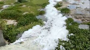 Dev Bhoomi Dwarka : ખંભાળિયાની ઘી નદીની પાળ તોડવાથી પાણીનો વેડફાટ, પાલિકા તંત્રએ તપાસ શરૂ કરી