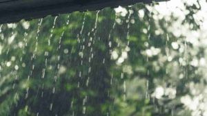 Dahod : લીમડી અને દેપાડા સહિતના વિસ્તારોમાં ધીમી ધારે વરસાદ, વાતાવરણમાં ઠંડક પ્રસરી