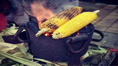 ચોમાસાની ઋતુમાં બીમારીઓથી બચવા ખાઓ આ પૌષ્ટિક ફૂડ, Monsoon Dietમાં આજે કરો સામેલ