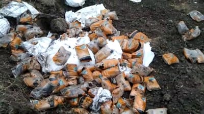 Gir somnath: સૂત્રાપાડા નજીક સરકારી સડેલી તુવેરદાળનો જથ્થો કોઈ ફેંકી ગયું, વિવિધ યોજના હેઠળ આ દાળનું થાય છે વિતરણ