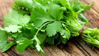 ટામેટા બાદ કોથમીર પણ મોંઘી, 5 રૂપિયામાં મળતા બંડલનો ભાવ 20 પર પહોંચ્યો, ખેડૂતોને મળશે તેનો લાભ