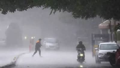 Monsoon 2022: ગુજરાતમાં ચોમાસુ જામ્યુ, દક્ષિણ ગુજરાતના અનેક વિસ્તારોમાં વરસાદી માહોલ, જાણો ક્યાં પડ્યો છે સૌથી વધુ વરસાદ