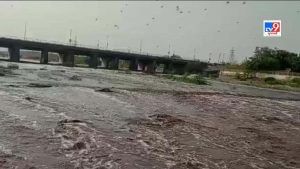 Sabarkantha: વિજયનગર અને ઉપરવાસમાં વરસાદને પગલે હરણાવ સહીતની નદીઓમાં નવા નીર આવતા બે કાંઠે વહી-Video