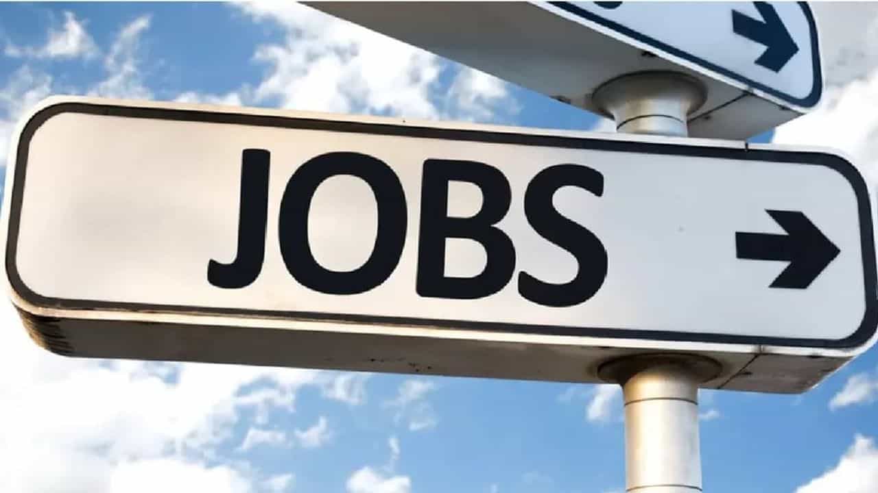 Top Jobs 2022 High Salary : આ છે દુનિયાની ટોપ 10 જોબ્સ ! ઝડપથી વધી રહી છે તેની માંગ, સેલેરી પણ છે અધધધધ