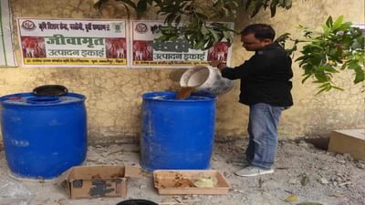 જૈવિક ખેતીમાં મહત્વપૂર્ણ ભુમિકા ભજવે છે જીવામૃત, જાણો ઘર પર કેવી રીતે બનાવીને કરી શકાય છે ઉપયોગ