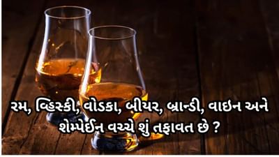 રમ, વ્હિસ્કી, વોડકા, બીયર, બ્રાન્ડી, વાઇન અને શેમ્પેઈન વચ્ચે શું તફાવત છે ? જાણો ક્યા દેશમાં ક્યા પ્રકારનો બને છે દારૂ