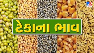 મોદી સરકારે ખેડૂતોને આપી મોટી રાહત, 14 ખરીફ પાક સહિત 17 પાકની MSP વધારવાની મંજૂરી
