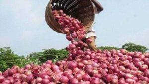 Onion Price : ખેડૂતો માટે સારા સમાચાર, ડુંગળીનો લઘુત્તમ ભાવ 1400 રૂપિયા પ્રતિ ક્વિન્ટલ