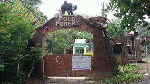 Polo Forest: વરસાદી માહોલમાં પોળો ફોરેસ્ટનો પ્રવાસ માણતા હોય તો 3 દિવસ થોભો, આ કારણથી પ્રવાસીઓ પર લગાવાયો પ્રતિબંધ