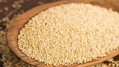 Poppy Seeds Benefits : કાળઝાળ ગરમીથી રાહત મેળવવા માટે ખોરાકમાં ખસખસનો સમાવેશ કરો, થશે અનેક ફાયદા