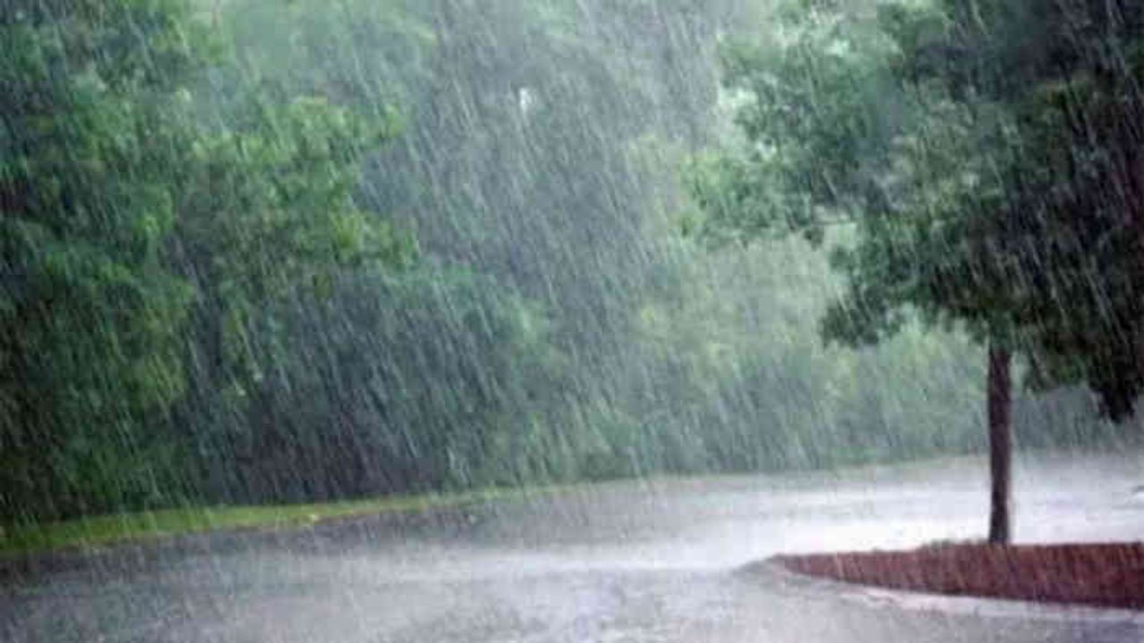 આગમનનાં એંધાણ : ગુજરાતવાસીઓ માટે આનંદના સમાચાર, આજથી સમગ્ર રાજ્યમાં હળવાથી મધ્યમ વરસાદની આગાહી